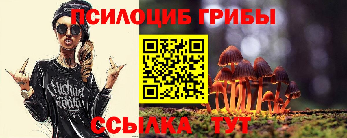 Псилоцибиновые грибы Psilocybine cubensis  Вход с VPN  Пугачёв 